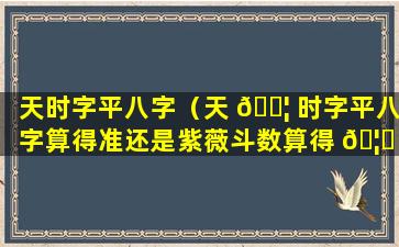 天时字平八字（天 🐦 时字平八字算得准还是紫薇斗数算得 🦊 准）